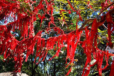 《庄园领主》弓箭手太弱：发布前被大削 平衡需时间